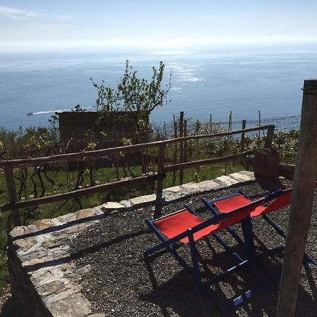 Il Nettare Agriturismo Villa Riomaggiore Esterno foto