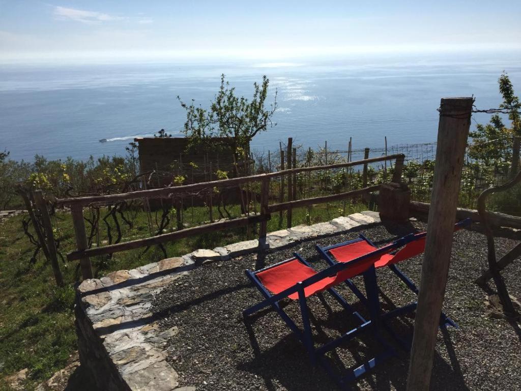 Il Nettare Agriturismo Villa Riomaggiore Esterno foto