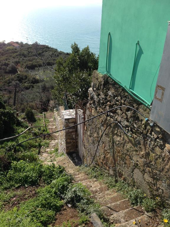 Il Nettare Agriturismo Villa Riomaggiore Esterno foto