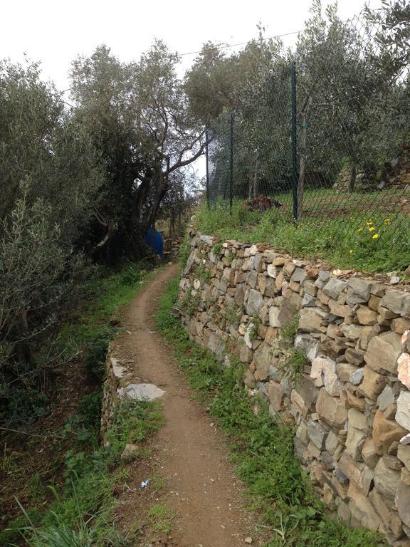 Il Nettare Agriturismo Villa Riomaggiore Esterno foto