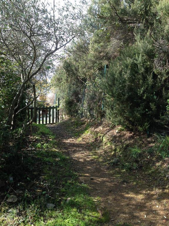 Il Nettare Agriturismo Villa Riomaggiore Esterno foto